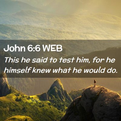 Picture 02 - John 6:6 WEB - This he said to test him, for he himself knew - Bible Verse Picture