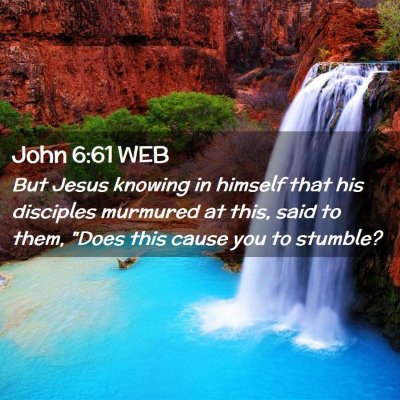 Picture 02 - John 6:61 WEB - But Jesus knowing in himself that his disciples - Bible Verse Picture