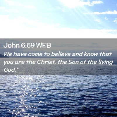 Picture 02 - John 6:69 WEB - We have come to believe and know that you are the - Bible Verse Picture