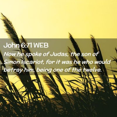 Picture 02 - John 6:71 WEB - Now he spoke of Judas, the son of Simon Iscariot, - Bible Verse Picture