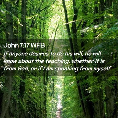 Picture 02 - John 7:17 WEB - If anyone desires to do his will, he will know - Bible Verse Picture