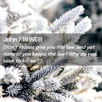 Picture 02 - John 7:19 WEB - Didn't Moses give you the law, and yet none of - Bible Verse Picture