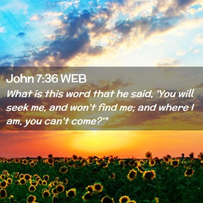 Picture 02 - John 7:36 WEB - What is this word that he said, 'You will seek - Bible Verse Picture