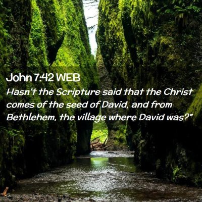 Picture 02 - John 7:42 WEB - Hasn't the Scripture said that the Christ comes - Bible Verse Picture