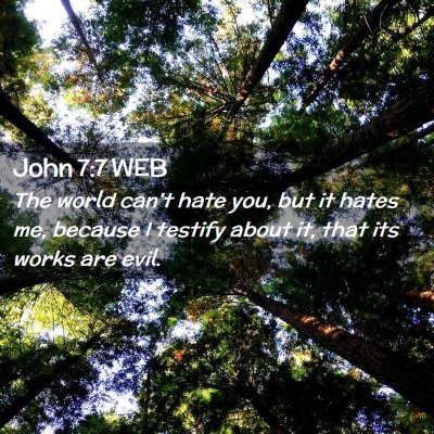Picture 02 - John 7:7 WEB - The world can't hate you, but it hates me, - Bible Verse Picture