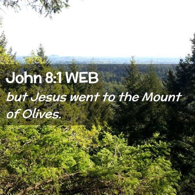 Picture 02 - John 8:1 WEB - but Jesus went to the Mount of - Bible Verse Picture