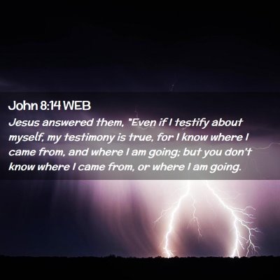 Picture 02 - John 8:14 WEB - Jesus answered them, 