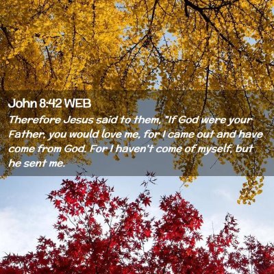 Picture 02 - John 8:42 WEB - Therefore Jesus said to them, 