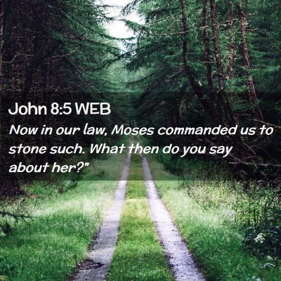 Picture 02 - John 8:5 WEB - Now in our law, Moses commanded us to stone such. - Bible Verse Picture