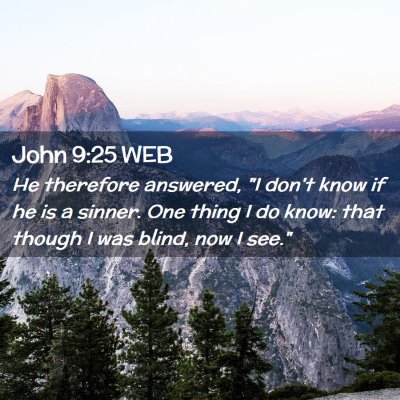 Picture 02 - John 9:25 WEB - He therefore answered, 