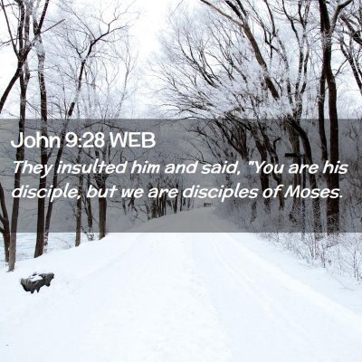 Picture 02 - John 9:28 WEB - They insulted him and said, 