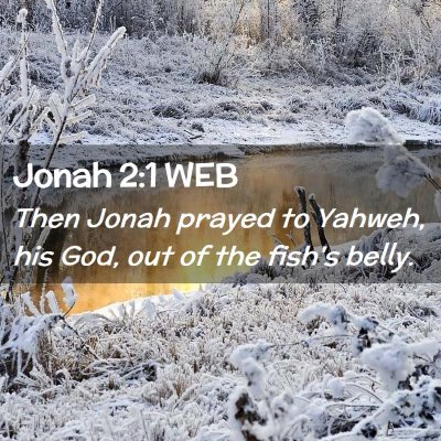 Picture 02 - Jonah 2:1 WEB - Then Jonah prayed to Yahweh, his God, out of the - Bible Verse Picture