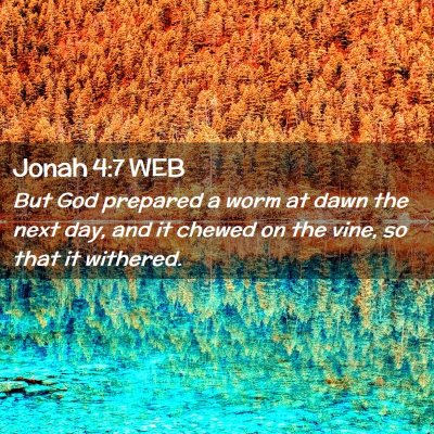 Picture 02 - Jonah 4:7 WEB - But God prepared a worm at dawn the next day, and - Bible Verse Picture