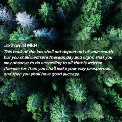 Picture 02 - Joshua 1:8 WEB - This book of the law shall not depart out of your - Bible Verse Picture