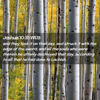 Picture 02 - Joshua 10:35 WEB - and they took it on that day, and struck it with - Bible Verse Picture
