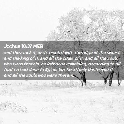 Picture 02 - Joshua 10:37 WEB - and they took it, and struck it with the edge of - Bible Verse Picture