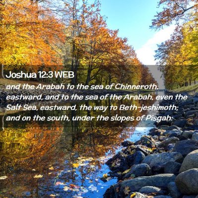 Picture 02 - Joshua 12:3 WEB - and the Arabah to the sea of Chinneroth, - Bible Verse Picture