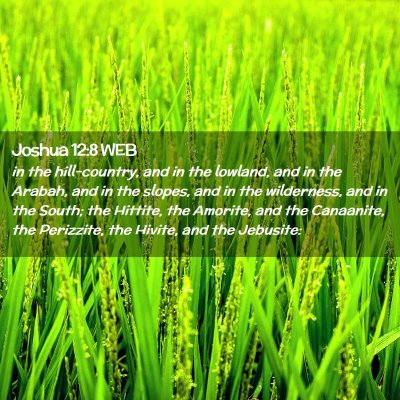 Picture 02 - Joshua 12:8 WEB - in the hill-country, and in the lowland, and in - Bible Verse Picture