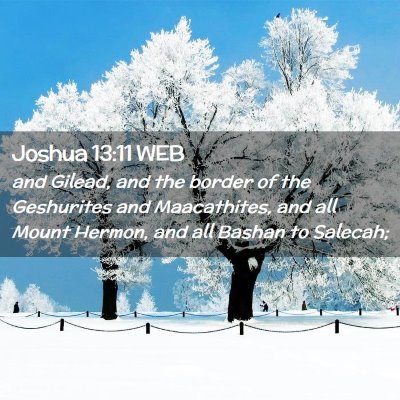 Picture 02 - Joshua 13:11 WEB - and Gilead, and the border of the Geshurites and - Bible Verse Picture