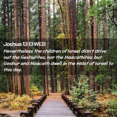 Picture 02 - Joshua 13:13 WEB - Nevertheless the children of Israel didn't drive - Bible Verse Picture