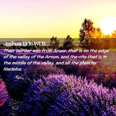 Picture 02 - Joshua 13:16 WEB - Their border was from Aroer, that is on the edge - Bible Verse Picture