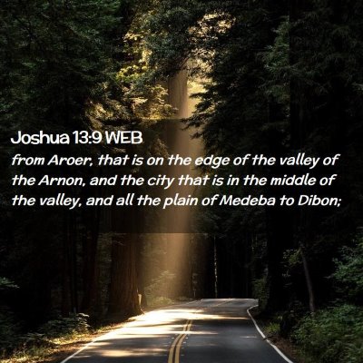 Picture 02 - Joshua 13:9 WEB - from Aroer, that is on the edge of the valley of - Bible Verse Picture