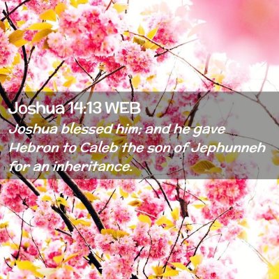 Picture 02 - Joshua 14:13 WEB - Joshua blessed him; and he gave Hebron to Caleb - Bible Verse Picture