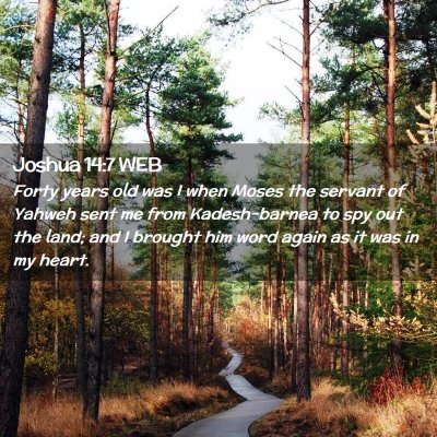 Picture 02 - Joshua 14:7 WEB - Forty years old was I when Moses the servant of - Bible Verse Picture