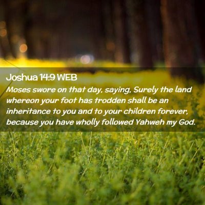 Picture 02 - Joshua 14:9 WEB - Moses swore on that day, saying, Surely the land - Bible Verse Picture