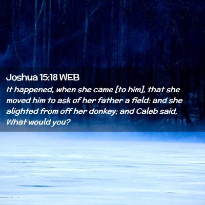 Picture 02 - Joshua 15:18 WEB - It happened, when she came [to him], that she - Bible Verse Picture