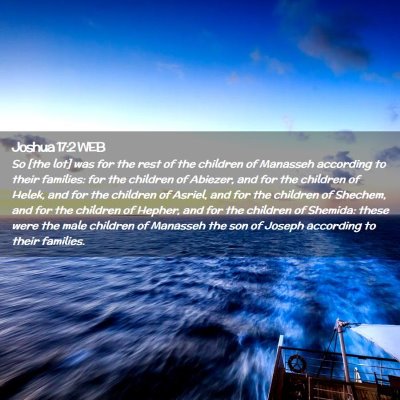 Picture 02 - Joshua 17:2 WEB - So [the lot] was for the rest of the children of - Bible Verse Picture