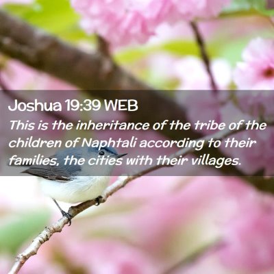 Picture 02 - Joshua 19:39 WEB - This is the inheritance of the tribe of the - Bible Verse Picture