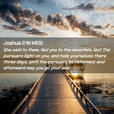Picture 02 - Joshua 2:16 WEB - She said to them, Get you to the mountain, lest - Bible Verse Picture