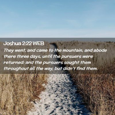 Picture 02 - Joshua 2:22 WEB - They went, and came to the mountain, and abode - Bible Verse Picture