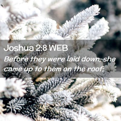 Picture 02 - Joshua 2:8 WEB - Before they were laid down, she came up to them - Bible Verse Picture
