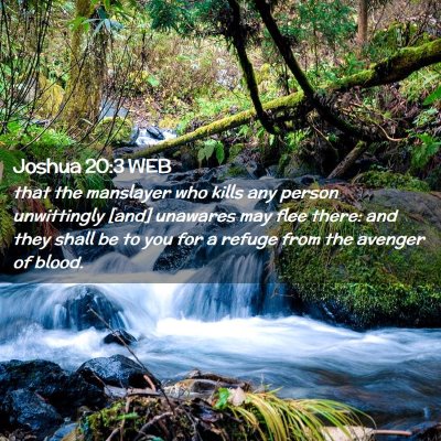 Picture 02 - Joshua 20:3 WEB - that the manslayer who kills any person - Bible Verse Picture