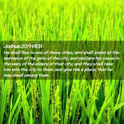 Picture 02 - Joshua 20:4 WEB - He shall flee to one of those cities, and shall - Bible Verse Picture