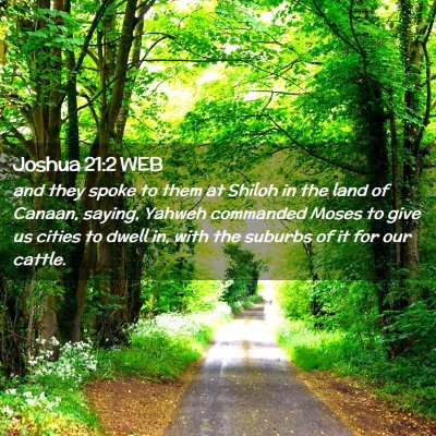 Picture 02 - Joshua 21:2 WEB - and they spoke to them at Shiloh in the land of - Bible Verse Picture