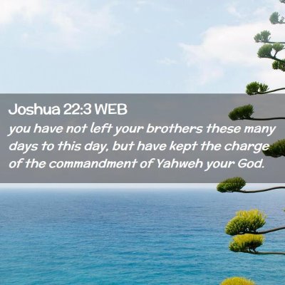 Picture 02 - Joshua 22:3 WEB - you have not left your brothers these many days - Bible Verse Picture