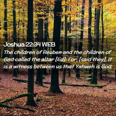 Picture 02 - Joshua 22:34 WEB - The children of Reuben and the children of Gad - Bible Verse Picture