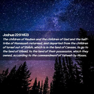 Picture 02 - Joshua 22:9 WEB - The children of Reuben and the children of Gad - Bible Verse Picture