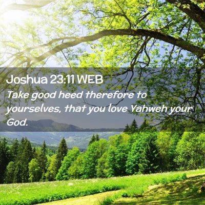 Picture 02 - Joshua 23:11 WEB - Take good heed therefore to yourselves, that you - Bible Verse Picture