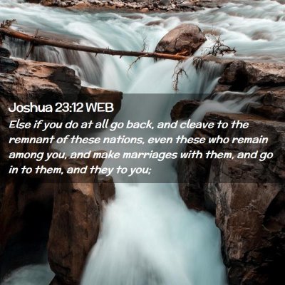 Picture 02 - Joshua 23:12 WEB - Else if you do at all go back, and cleave to the - Bible Verse Picture