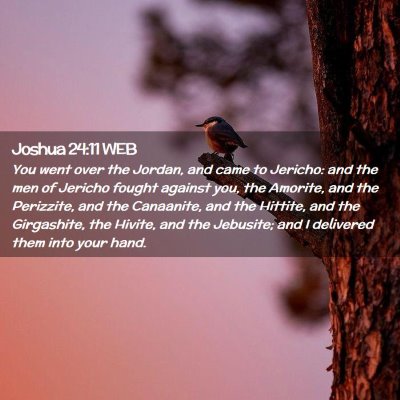 Picture 02 - Joshua 24:11 WEB - You went over the Jordan, and came to Jericho: - Bible Verse Picture