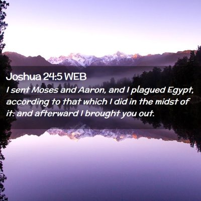 Picture 02 - Joshua 24:5 WEB - I sent Moses and Aaron, and I plagued Egypt, - Bible Verse Picture
