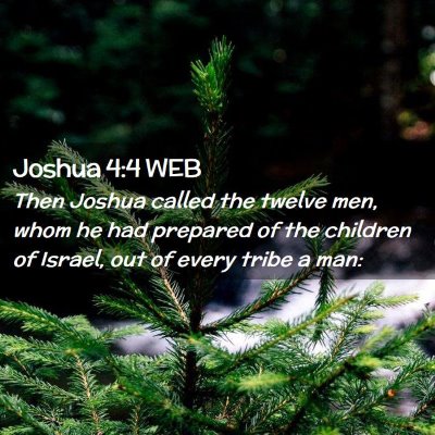 Picture 02 - Joshua 4:4 WEB - Then Joshua called the twelve men, whom he had - Bible Verse Picture