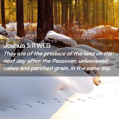 Picture 02 - Joshua 5:11 WEB - They ate of the produce of the land on the next - Bible Verse Picture