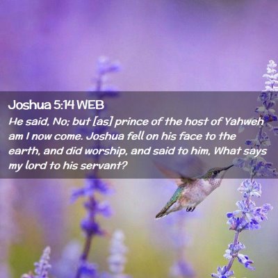 Picture 02 - Joshua 5:14 WEB - He said, No; but [as] prince of the host of - Bible Verse Picture