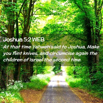 Picture 02 - Joshua 5:2 WEB - At that time Yahweh said to Joshua, Make you - Bible Verse Picture