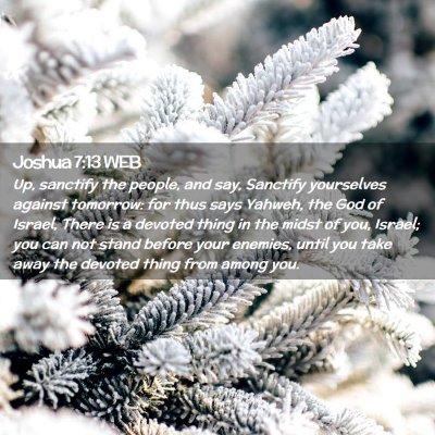 Picture 02 - Joshua 7:13 WEB - Up, sanctify the people, and say, Sanctify - Bible Verse Picture